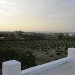 House In Vineyard
