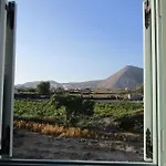 House In Vineyard