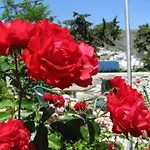 Anna Studios