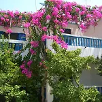 Akrogiali Apartments