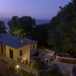 Vergopoulos Oliveyard