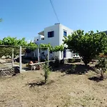 Aegean Harmony