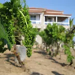 Alex - Nancy Apartments - Zaga Beach