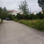 Amelia'S House