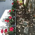 Strati'S Place