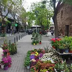 Smart Flat Downtown