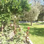 Villa Angela