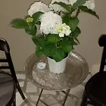 A Lovely Home