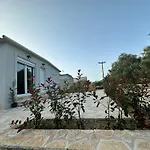 Rouli'S Houses By All About Paxos