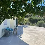 Alex House