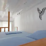 Lily'S Studio