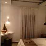 Paradise Design Apartments
