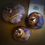 Pyrgoi Theodorakaki: O Gerolimenas