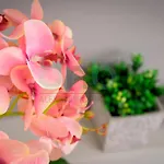 The Floral Suite