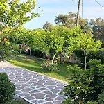 Villa Ioannidis
