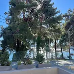 Ionian Elite Beachfront Villa