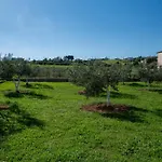 Villa Olivo