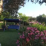 Dora'S Garden Villa
