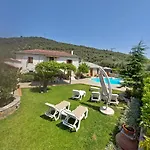 The Cocoon And Olives Hut