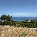 Dream View