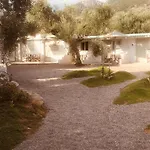 Barreira Beachfront Rooms 4