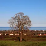 Elioj House