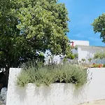 The Blue House II