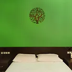 Saokis Studios