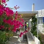 Villa Ambelas - Traditional House