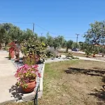 Lonely House