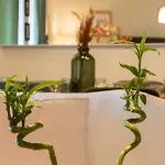 Glyfada Golf Fourth Floor Apartment