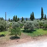 Anima