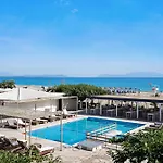 Iguana Studio 18