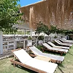 Iguana Studio 7