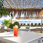 Iguana Studio 15