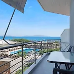 Iguana Studio 2
