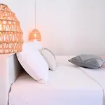 Cycladic Nest In Dryopida