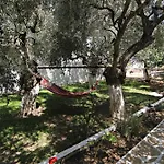 Joanna'S House