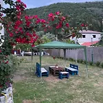 Camelia Studios