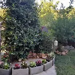 Family House