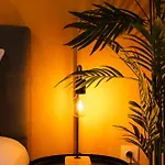 Dessert Oasis Suite By Heaven'S Hall Luxury Suites