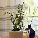 Sunny House 24