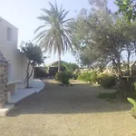 Palm Tree House With Beautiful View - 4 Persons