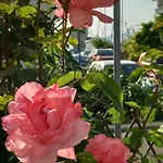 Elena Suites