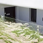 Rodillo Apartments