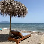 Hotel Ireon Beach