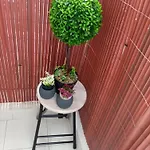 Project T Properties