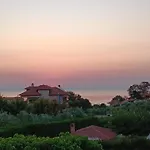 Oasis Villa