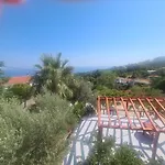 Pergola Home