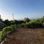 The View Point Apartment 2